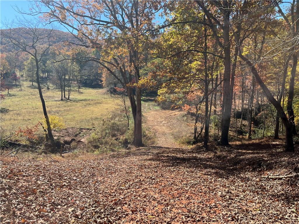 0 Freeman View Trail Cleveland, GA 30528 - Photo 15 of 20
