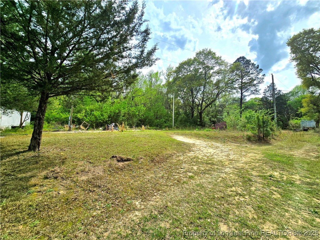 a view of a field with trees in the background