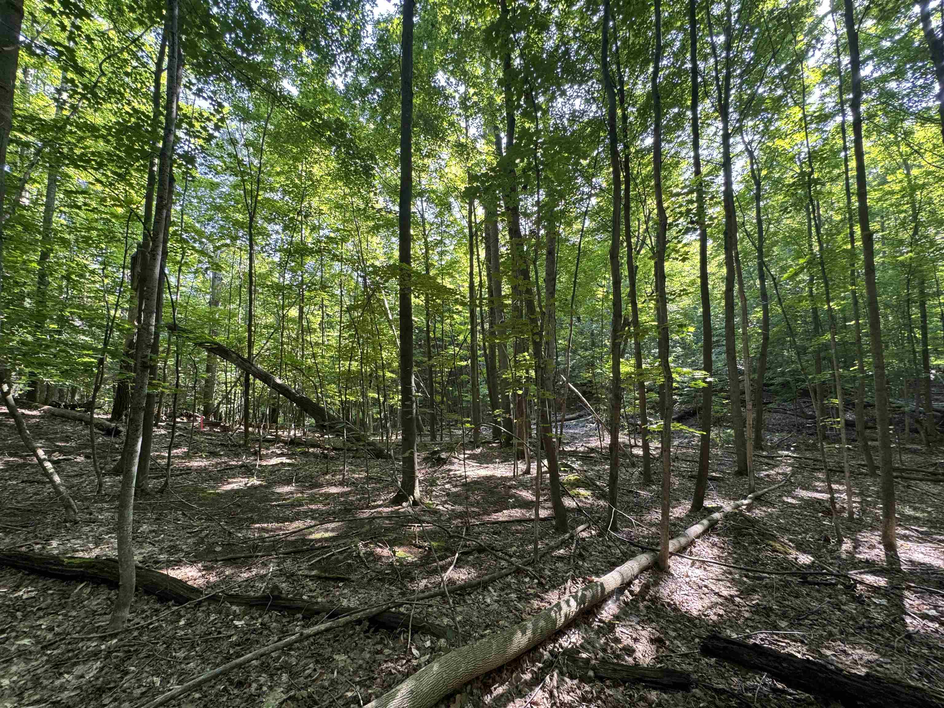 Lot #6 East Bellinger Road, Unit 6 BELLINGER ESTATES (FIN) Cedar, MI 49621 - Photo 23 of 34