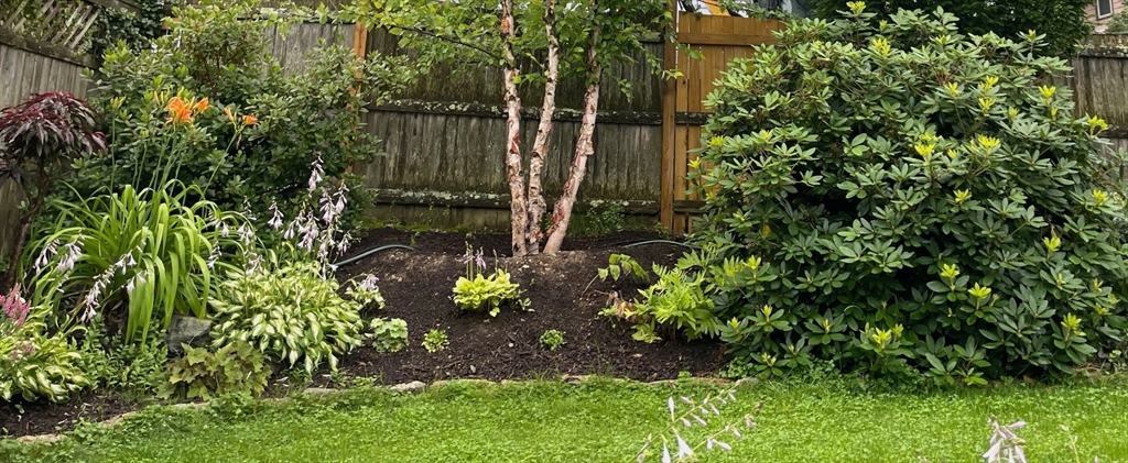 40 Waldorf Road Newton, MA 02461 - Photo 26 of 29 a plant that is in front of a tree