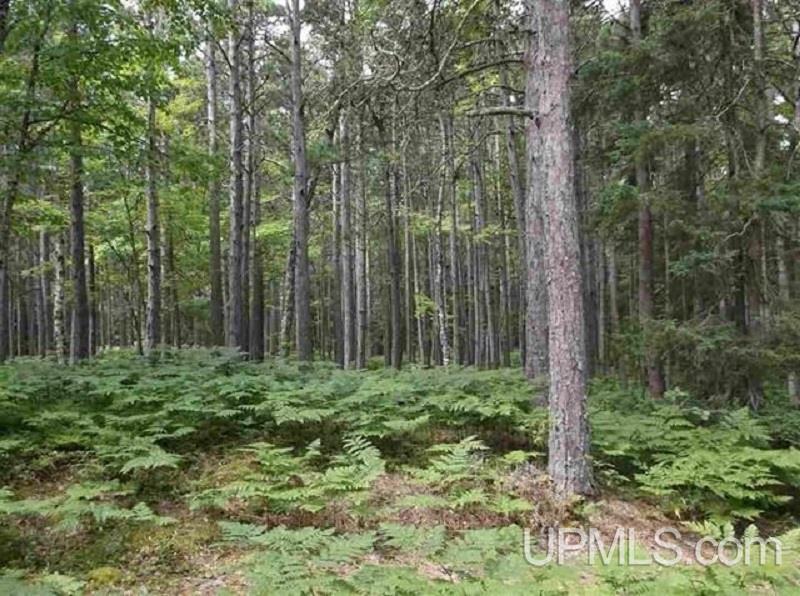 4 B Kayleigh Lane Mohawk, MI 49950 - Photo 7 of 14