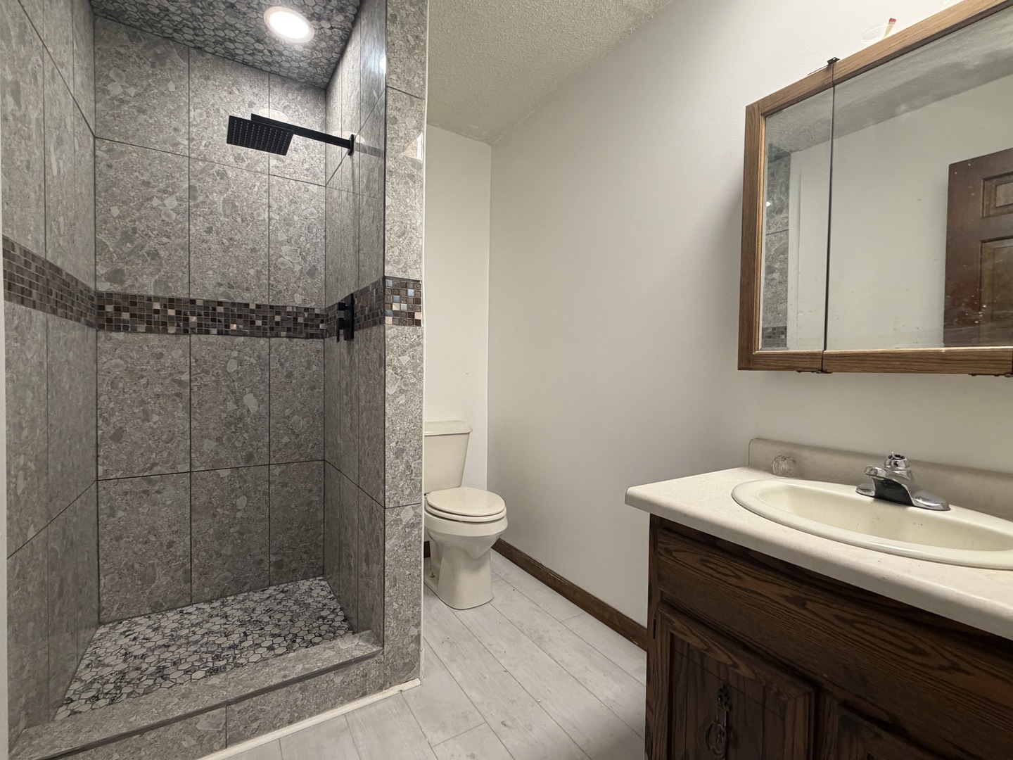 1756 West Ravina Park Road Decatur, IL 62526 - Photo 42 of 47 a bathroom with a sink a toilet and shower