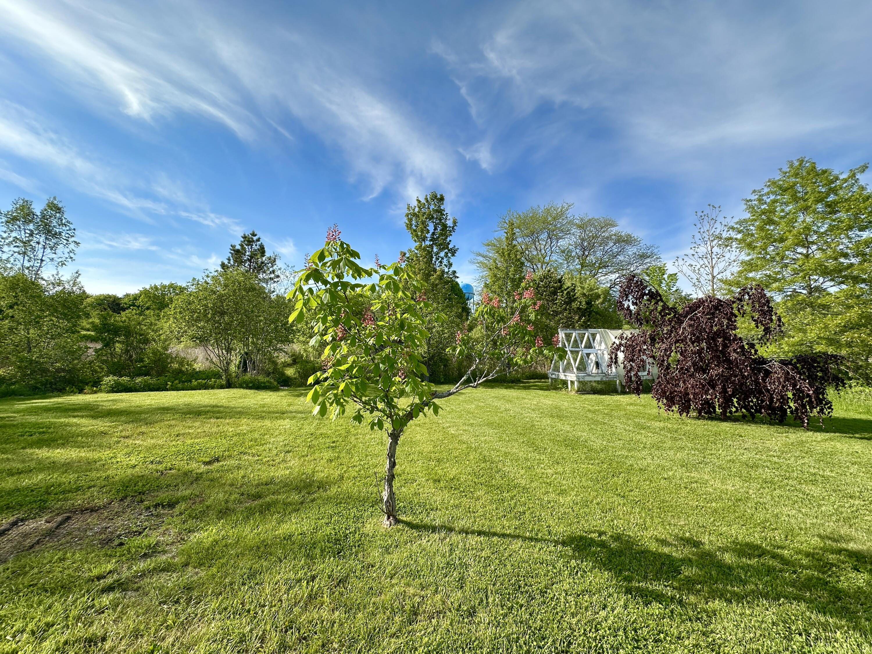 441 Main Street Thomaston, ME 04861 - Photo 88 of 103 Pink Horse Chestnut Tree
