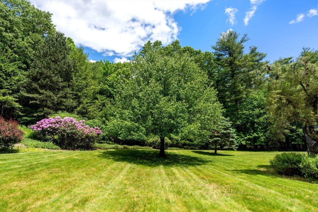 199 Bolton Road Harvard, MA 01451 - Photo 32 of 35 a view of a garden