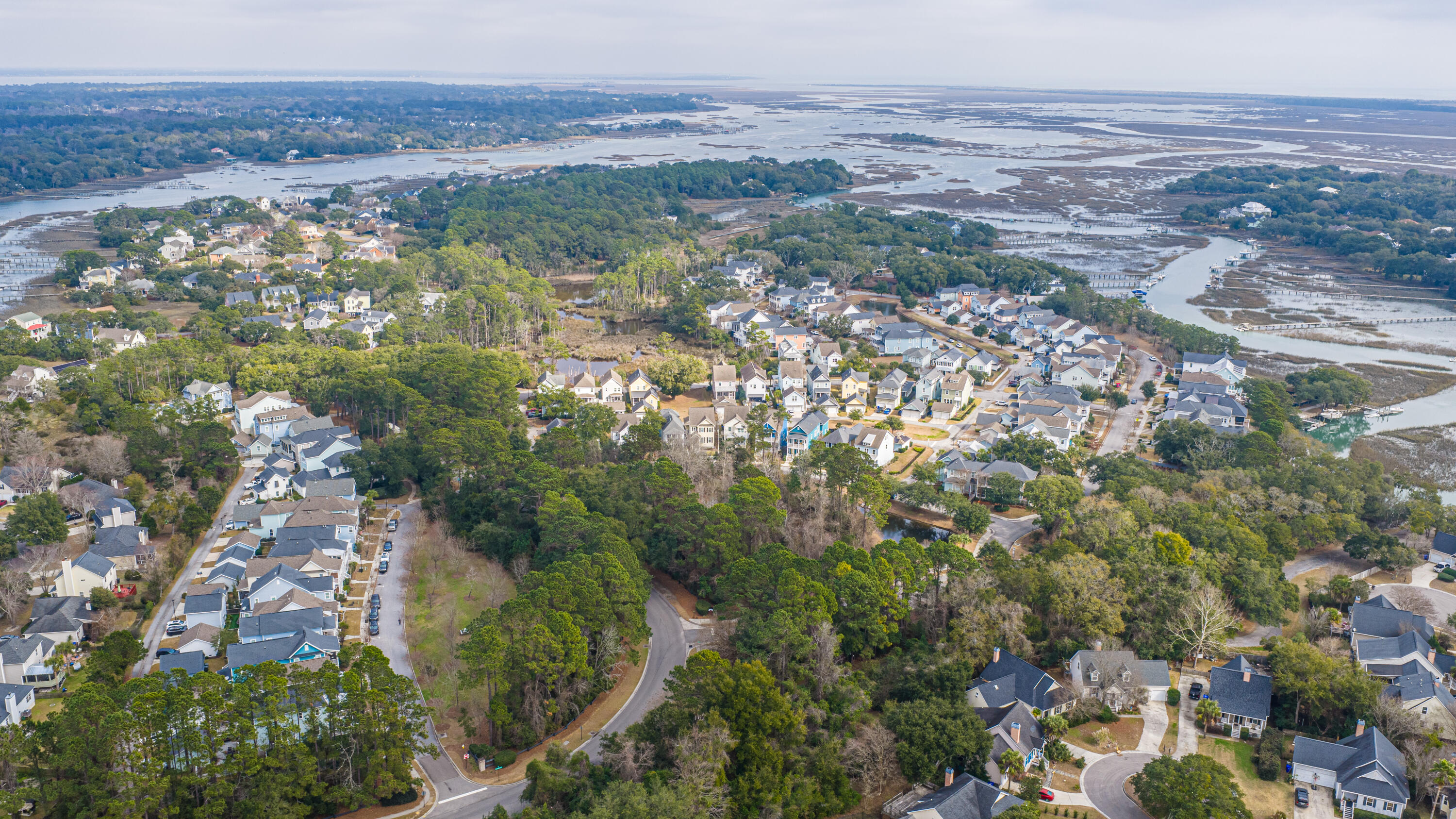 1216 Pressley Road Charleston, SC 29412 - Photo 65 of 82 1216PressleyRd076