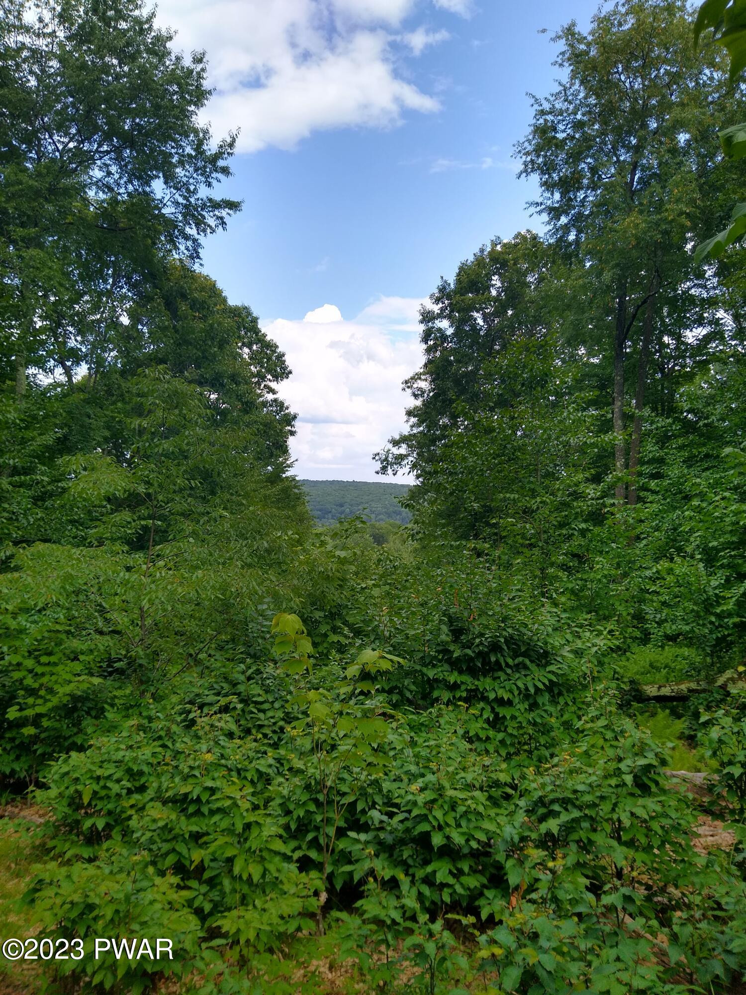 445 Summit Woods Road Moscow, PA 18444 - Photo 1 of 7 mountain views