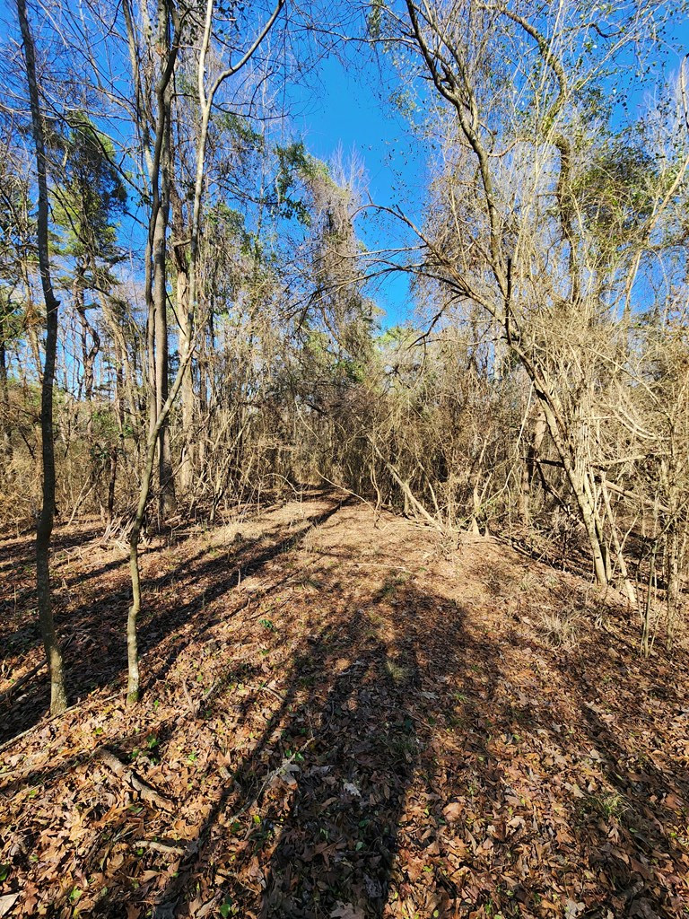 7105 Martinsville Road Wesson, MS 39191 - Photo 3 of 44 Photo 3