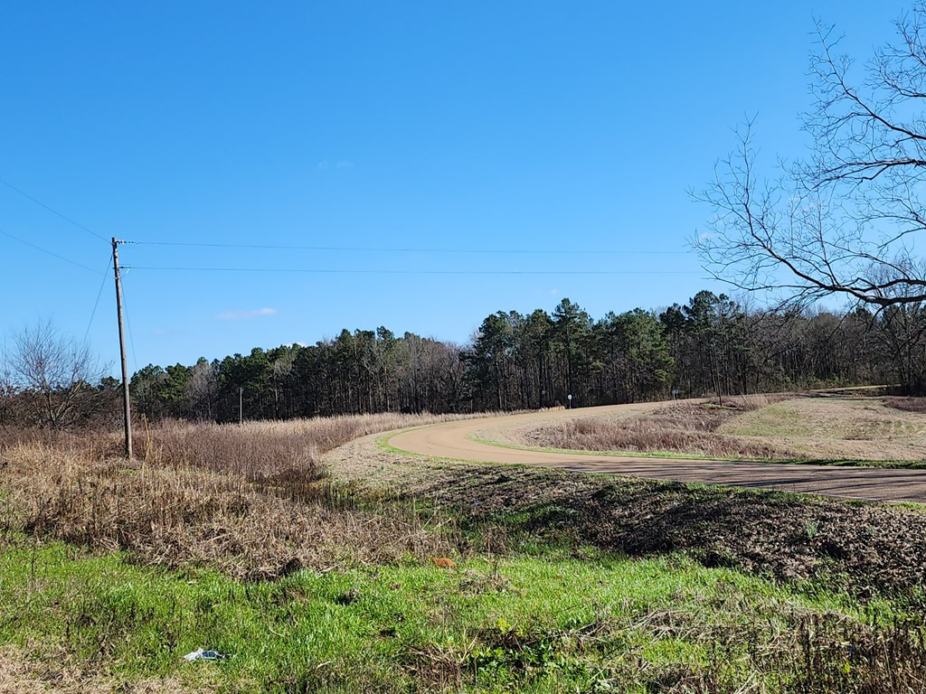 7105 Martinsville Road Wesson, MS 39191 - Photo 39 of 44 Photo 39