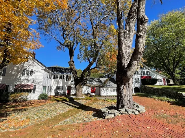 a view of a yard with plants and a large tree