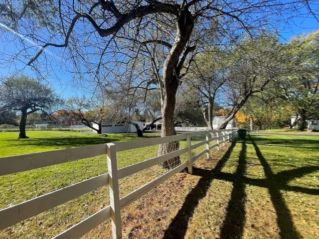 a view of a park with large trees