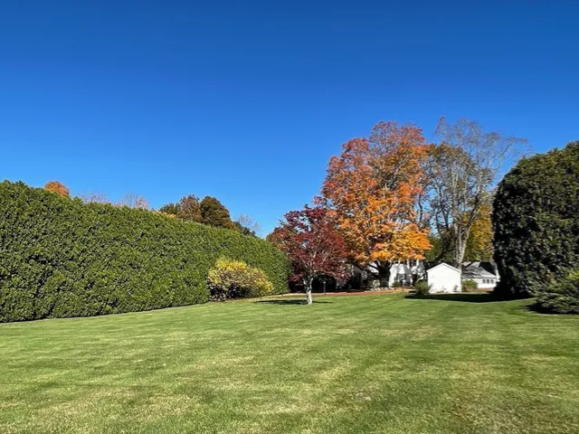 a view of a swimming pool with a bench and trees around