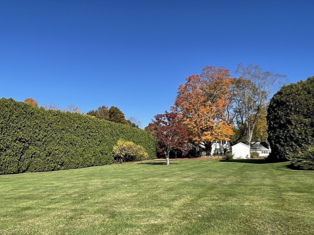 192 West Main Street Westborough, MA 01581 - Photo 36 of 42 a view of a field with large trees