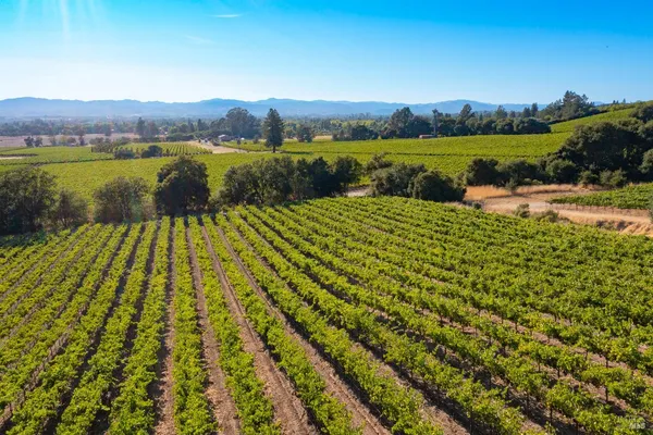 $2,248,800 | 1276 Jensen Lane, Unit LOT 3, Windsor, CA 95492
