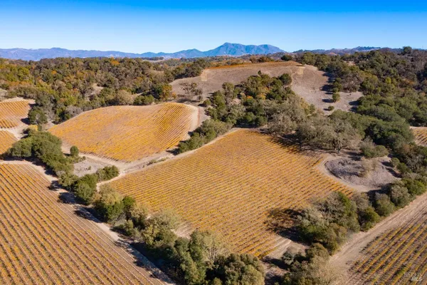 $2,248,800 | 1276 Jensen Lane, Unit LOT 3, Windsor, CA 95492