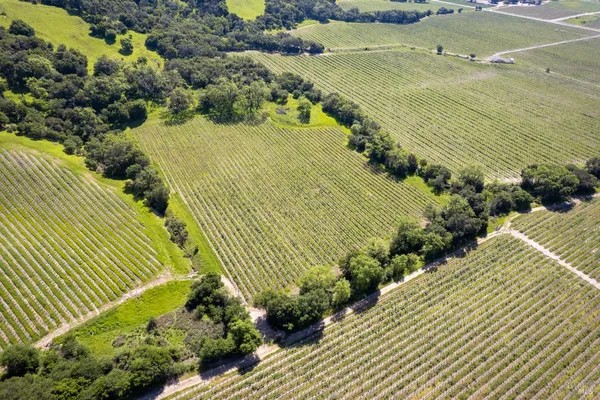 $2,248,800 | 1276 Jensen Lane, Unit LOT 3, Windsor, CA 95492