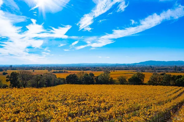 $2,248,800 | 1276 Jensen Lane, Unit LOT 3, Windsor, CA 95492