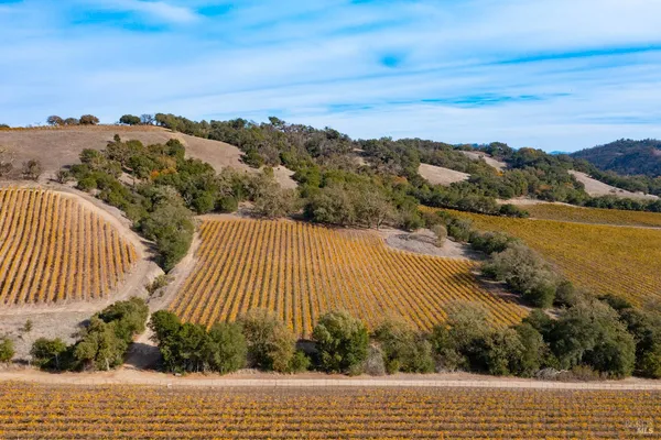$2,248,800 | 1276 Jensen Lane, Unit LOT 3, Windsor, CA 95492