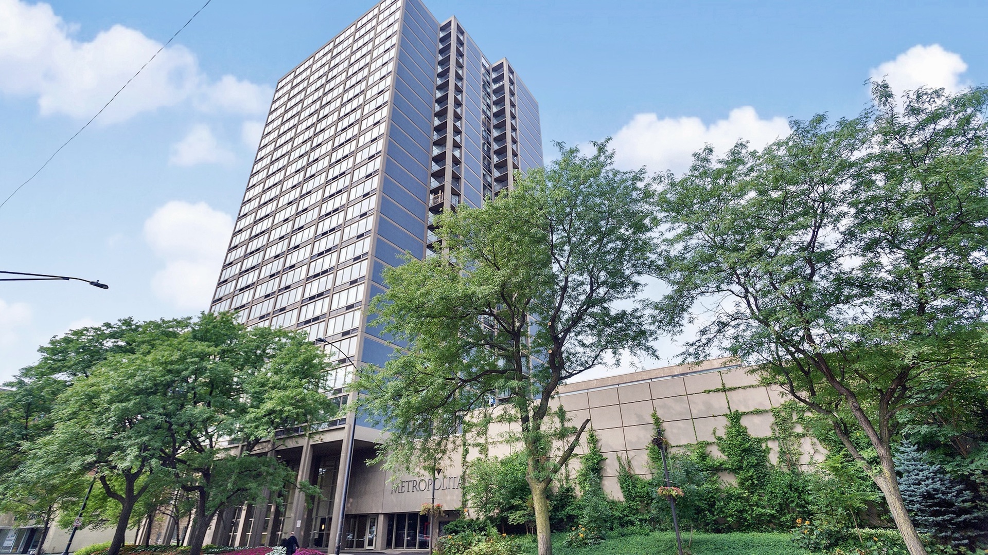 a view of a city with tall trees