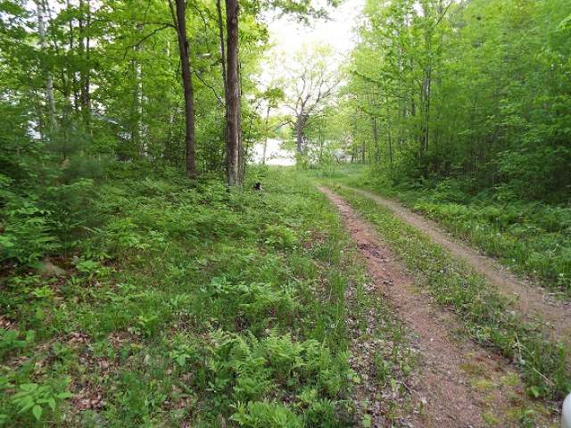 N9063 Mill Road, Unit LOT 20 Summit Lake, WI 54485 - Photo 1 of 2 Gallery Image 1