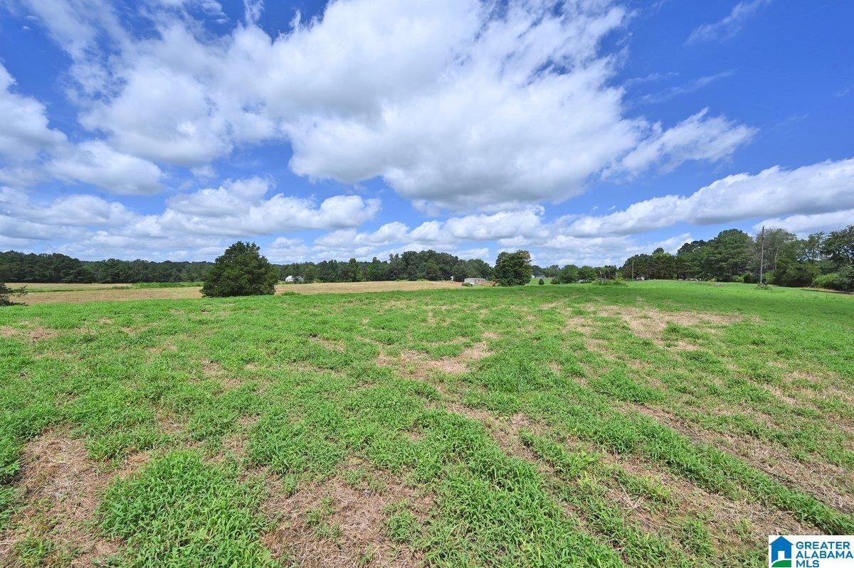 70 Nobinger Road Falkville, AL 35622 - Photo 18 of 23 Gallery Image 18