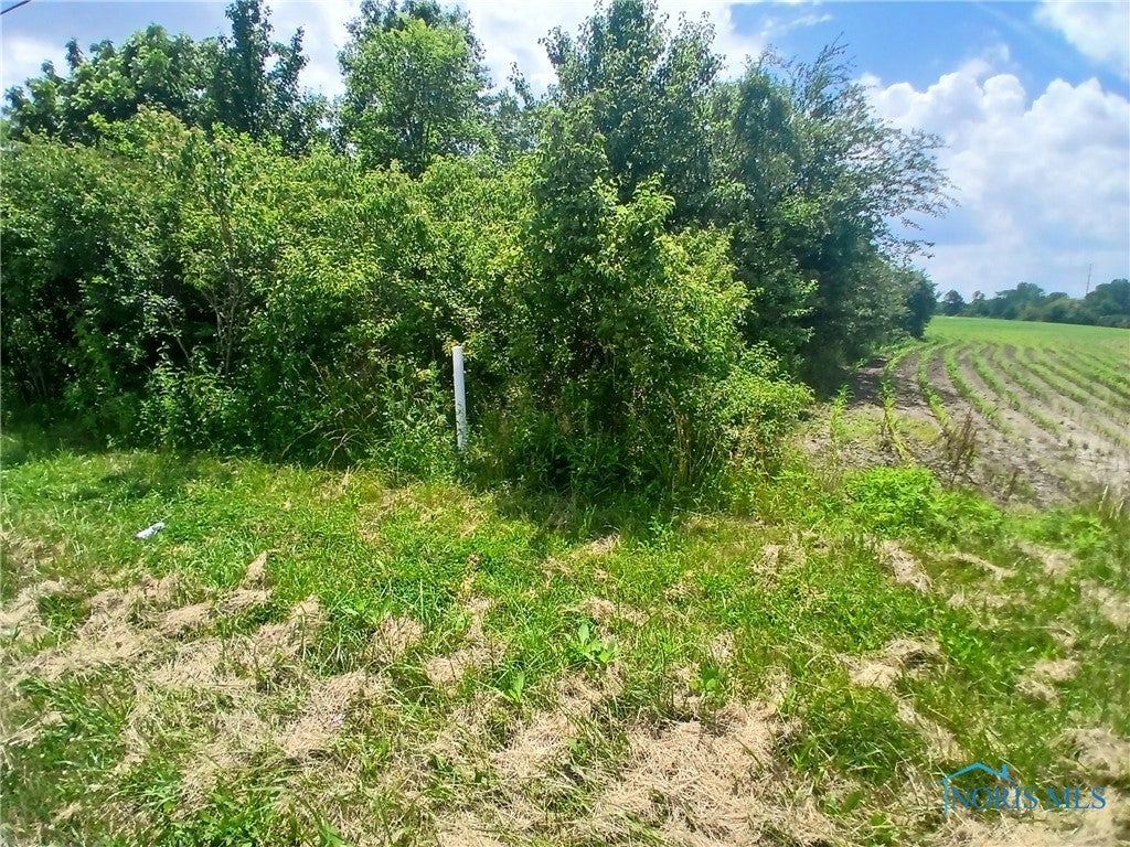 5218 Black Road Waterville, OH 43566 - Photo 3 of 11 North property line at white pole