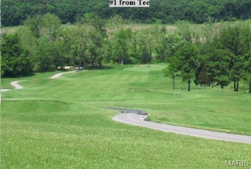 918 Fairway Drive Union, MO 63084 - Photo 46 of 62