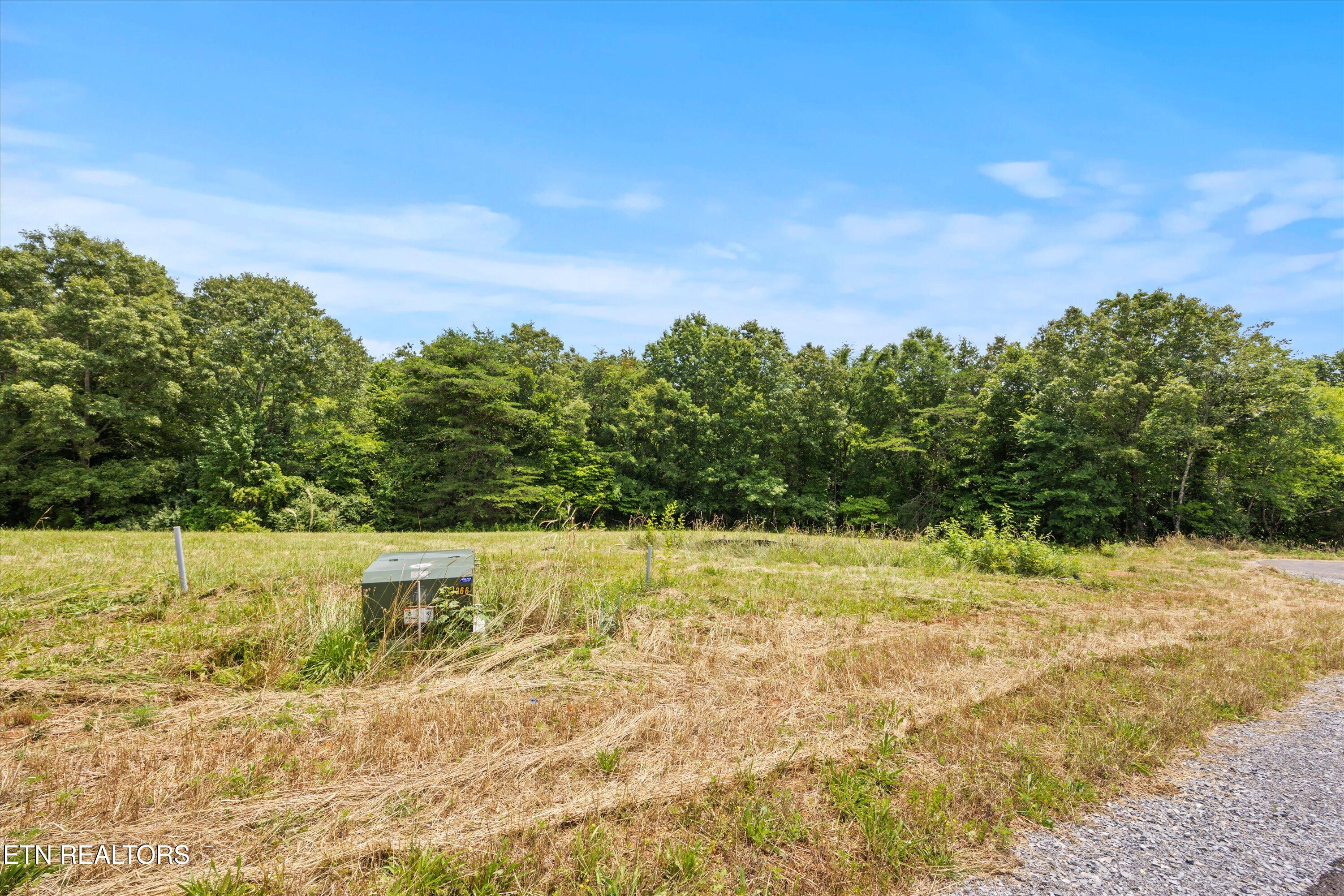 2890 Norcross Road Maryville, TN 37803 - Photo 1 of 27 04-Lot_4