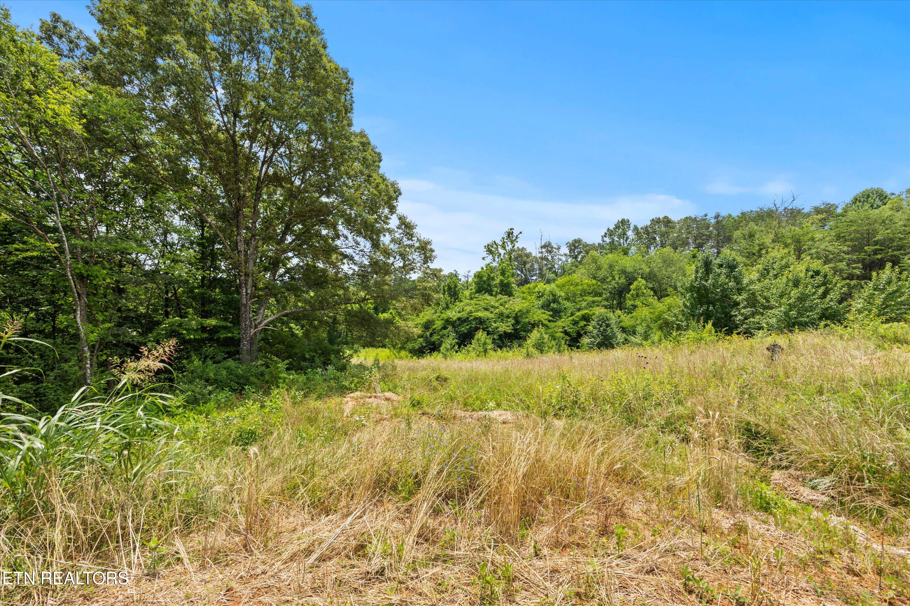 2890 Norcross Road Maryville, TN 37803 - Photo 7 of 27 05-Lot_5