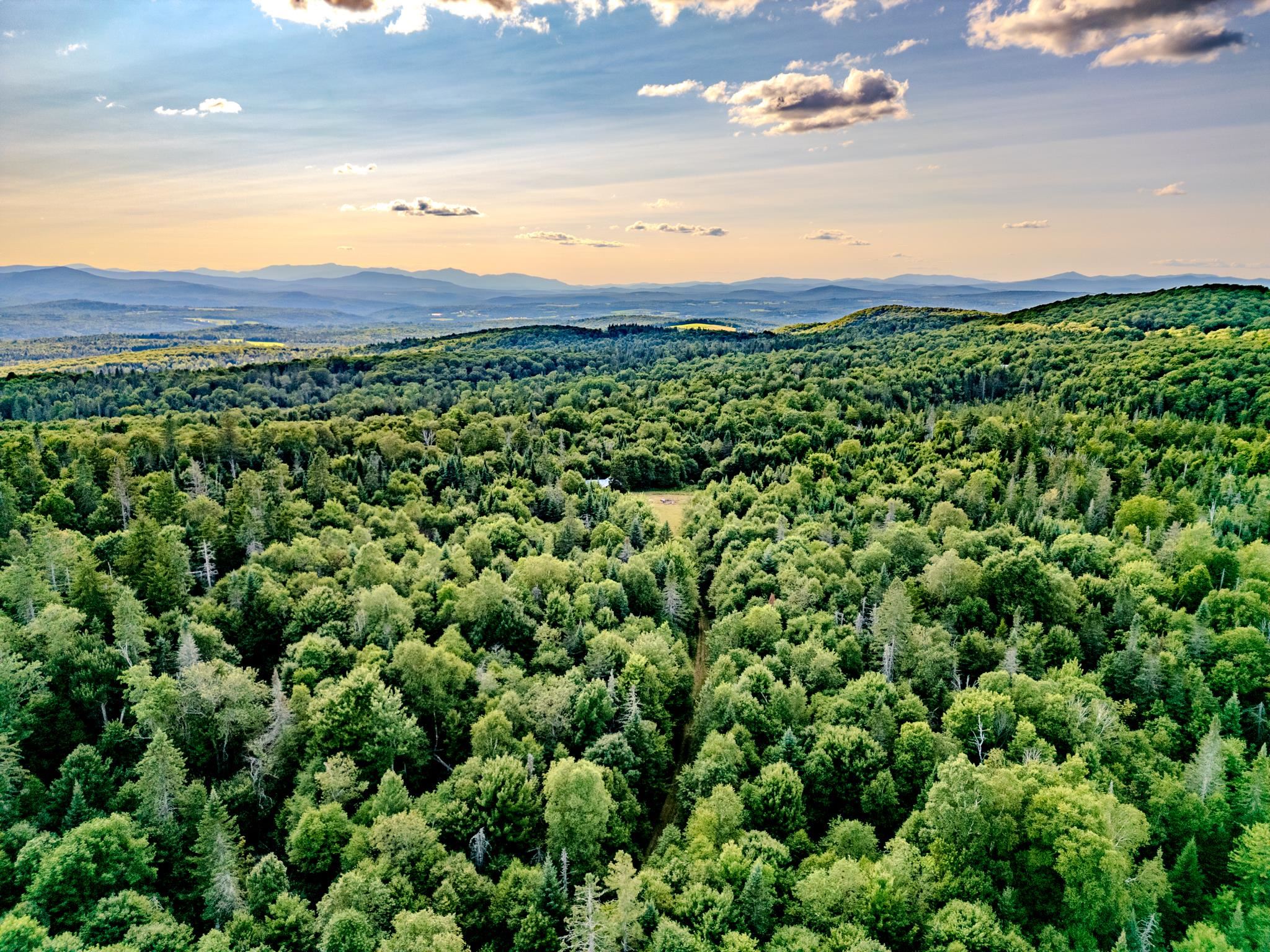 283 Ole Ray Road Walden, VT 05843 - Photo 34 of 56