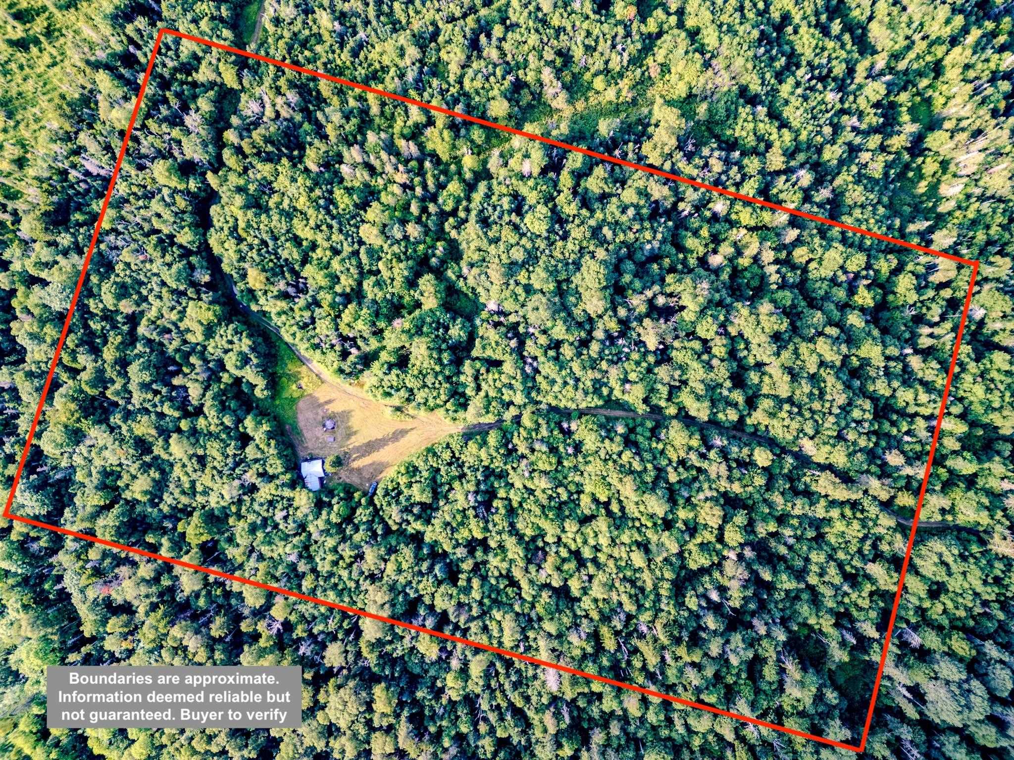 283 Ole Ray Road Walden, VT 05843 - Photo 4 of 56