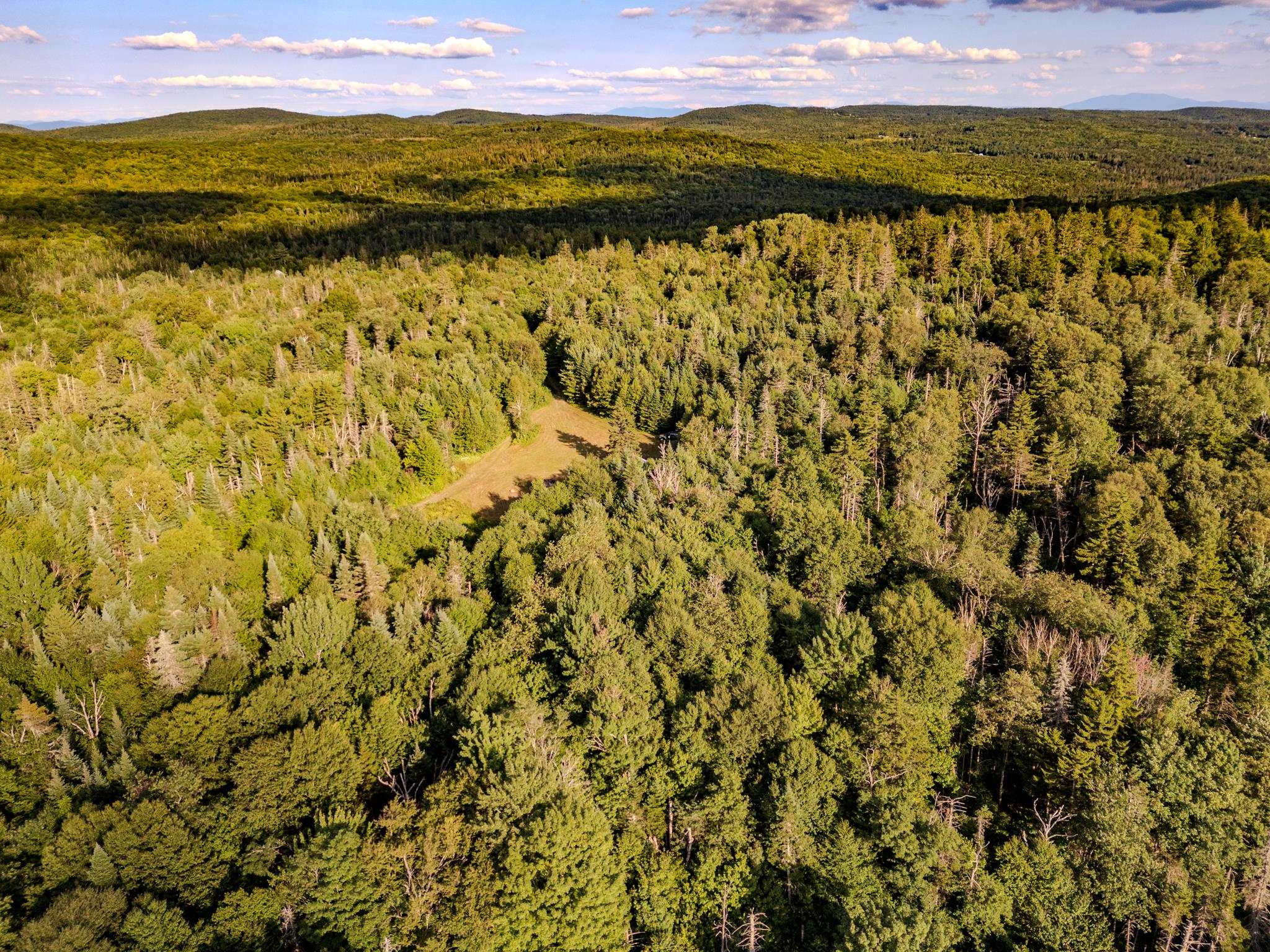 283 Ole Ray Road Walden, VT 05843 - Photo 41 of 56