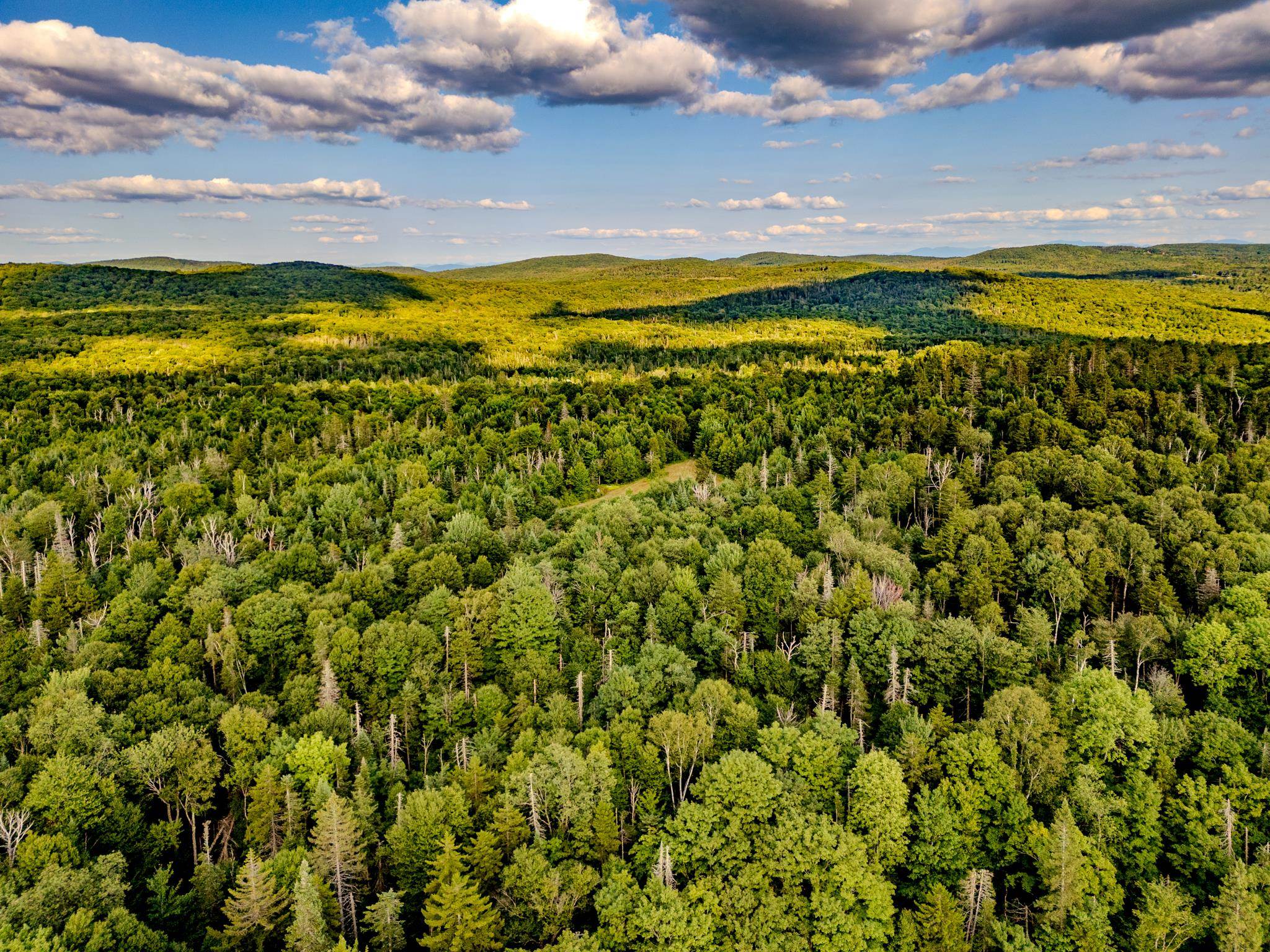 283 Ole Ray Road Walden, VT 05843 - Photo 43 of 56
