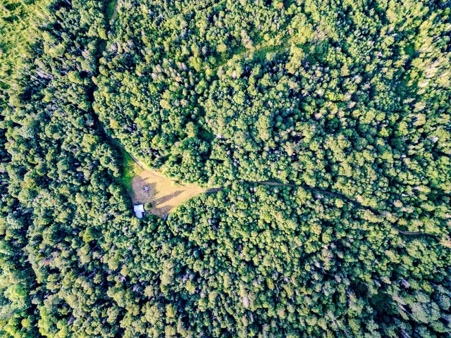 $139,000 | 283 Ole Ray Road, Walden, VT 05843