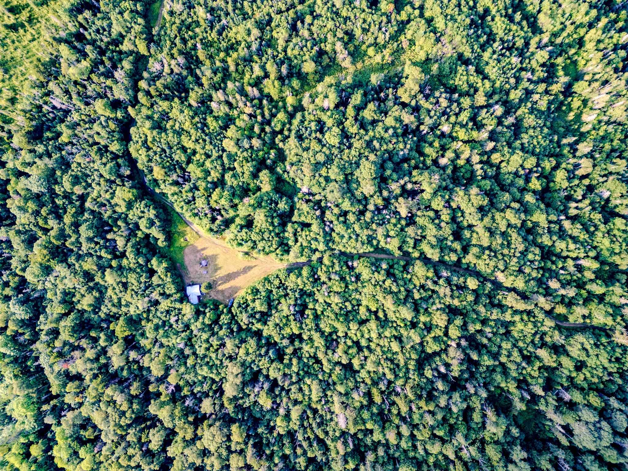 283 Ole Ray Road Walden, VT 05843 - Photo 45 of 56