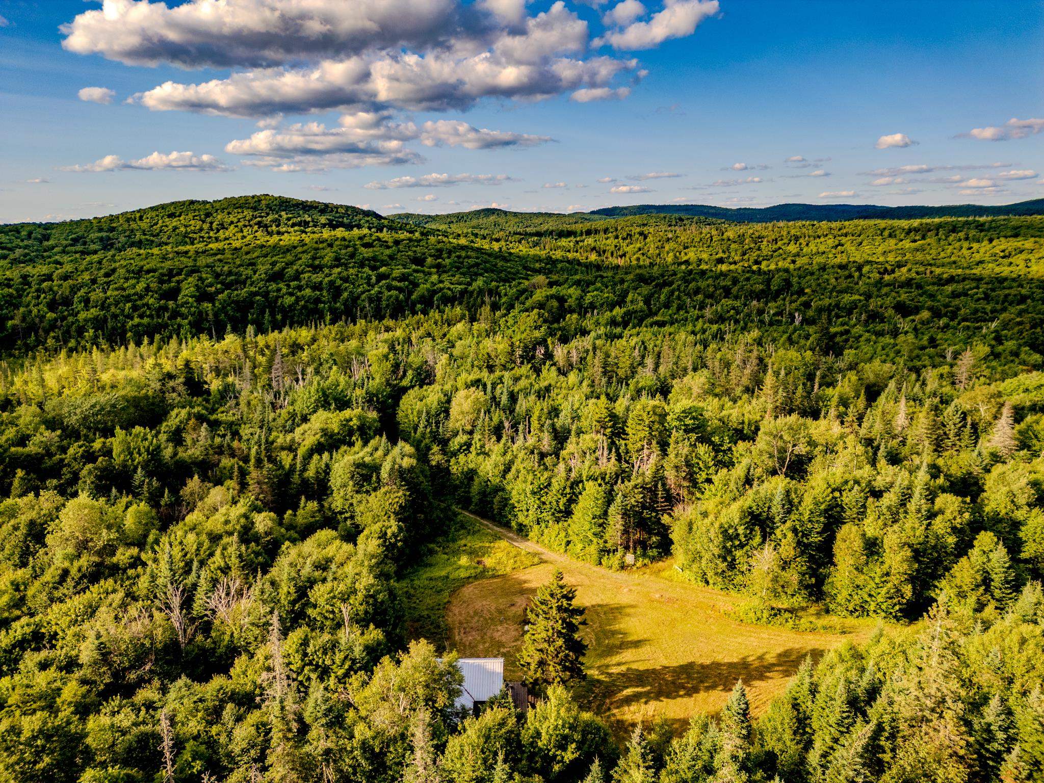 283 Ole Ray Road Walden, VT 05843 - Photo 46 of 56