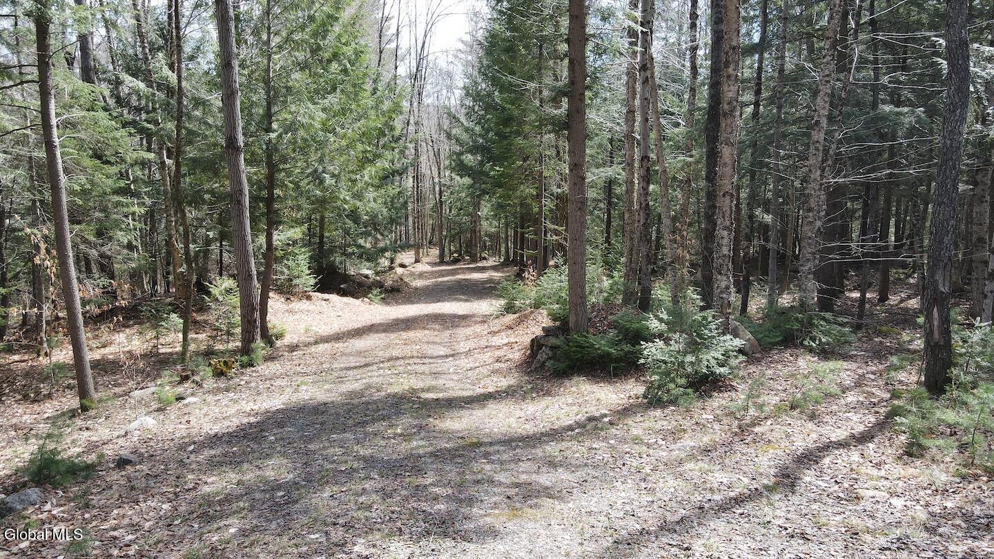 235 Barlow Road Gloversville, NY 12078 - Photo 23 of 50 Scher18