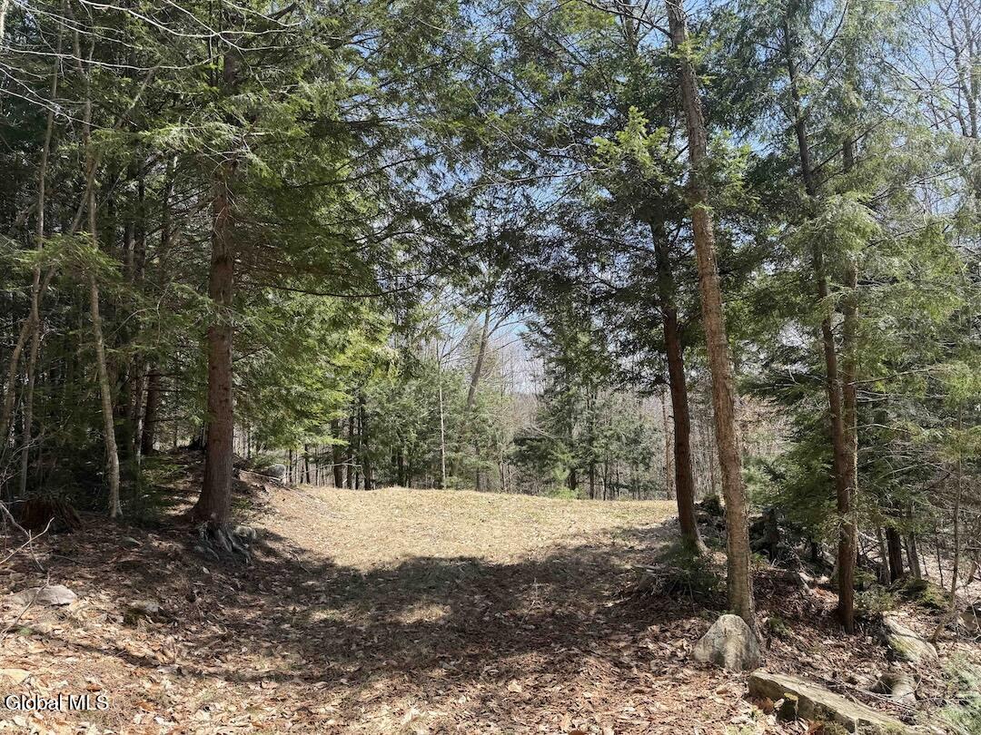 235 Barlow Road Gloversville, NY 12078 - Photo 27 of 50 Scher22