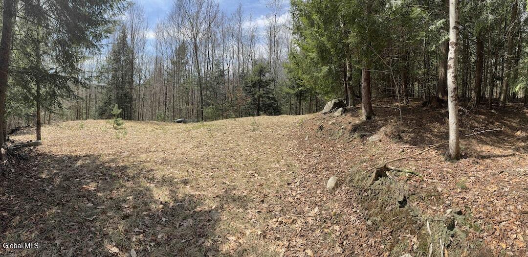 235 Barlow Road Gloversville, NY 12078 - Photo 30 of 50 Scher25