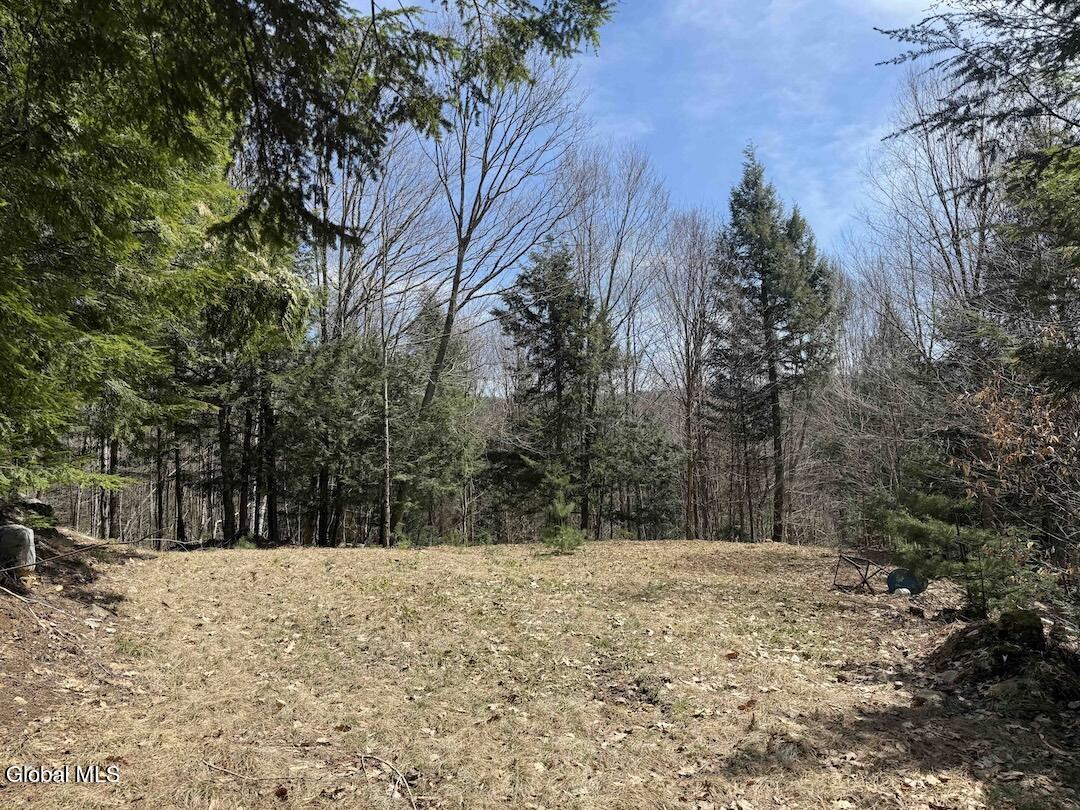 235 Barlow Road Gloversville, NY 12078 - Photo 31 of 50 Scher26
