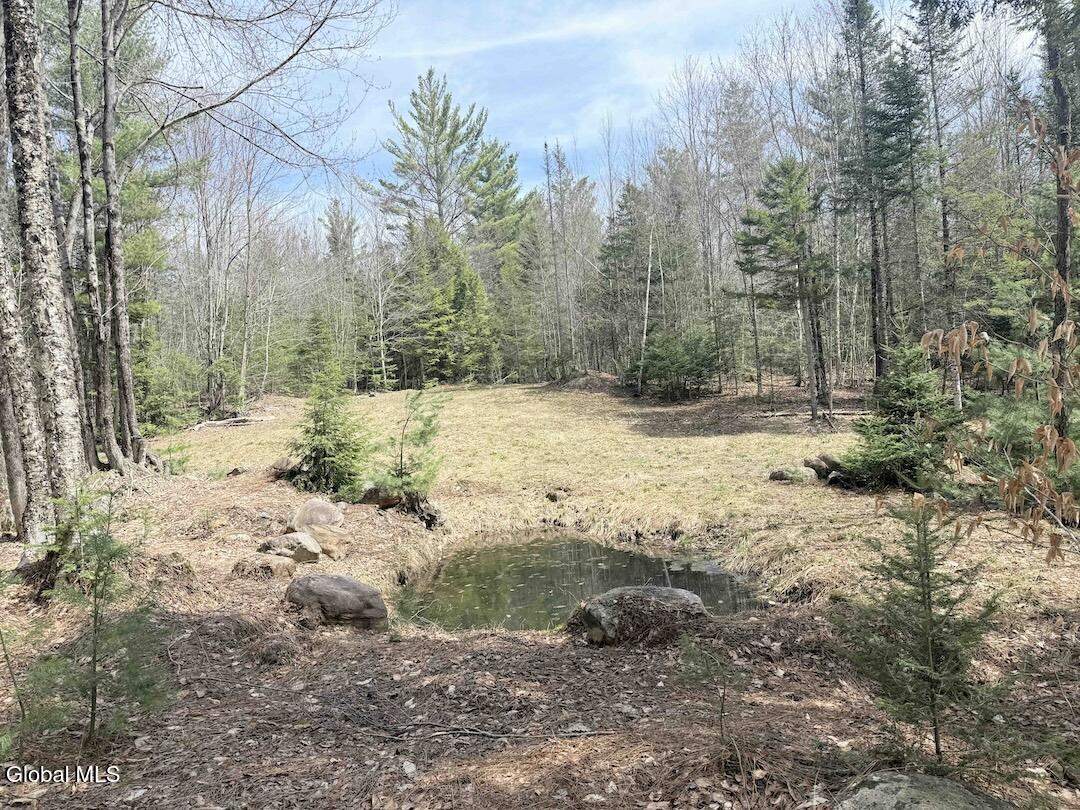 235 Barlow Road Gloversville, NY 12078 - Photo 32 of 50 Scher27