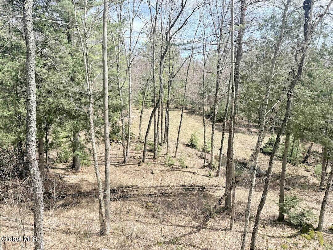 235 Barlow Road Gloversville, NY 12078 - Photo 34 of 50 Scher29