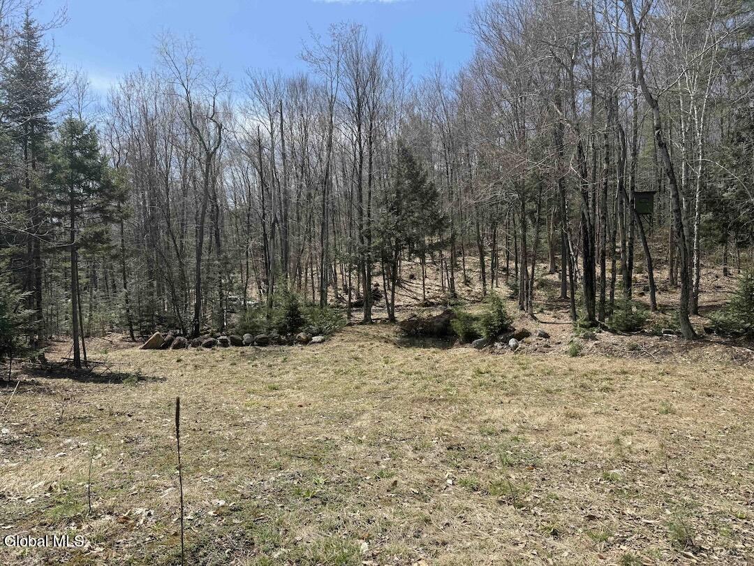 235 Barlow Road Gloversville, NY 12078 - Photo 35 of 50 Scher30