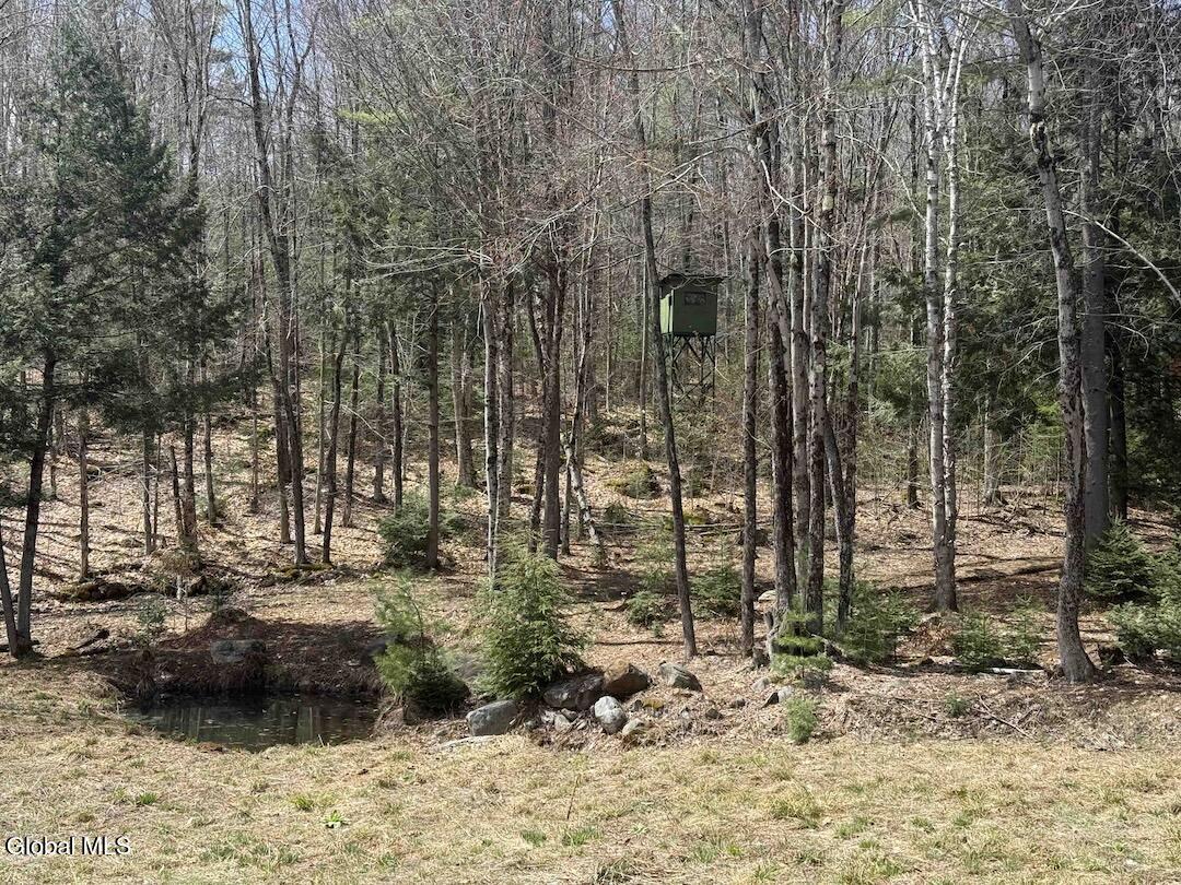 235 Barlow Road Gloversville, NY 12078 - Photo 36 of 50 Scher31