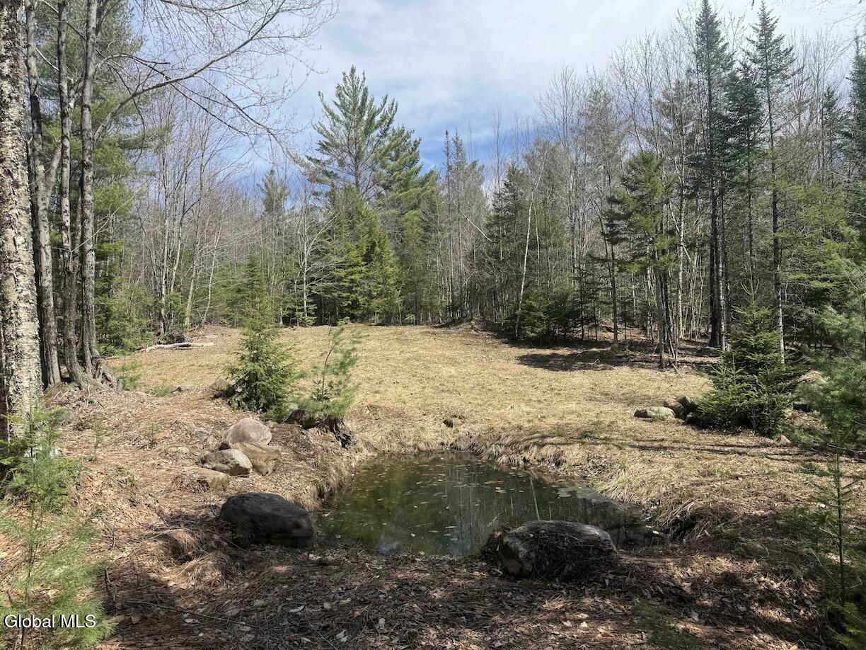 235 Barlow Road Gloversville, NY 12078 - Photo 39 of 50 Scher34