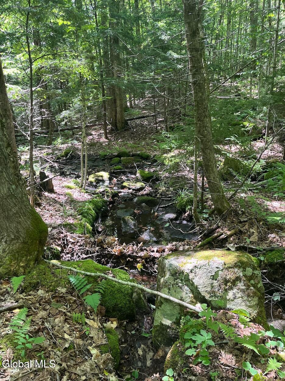 235 Barlow Road Gloversville, NY 12078 - Photo 47 of 50 Scher42