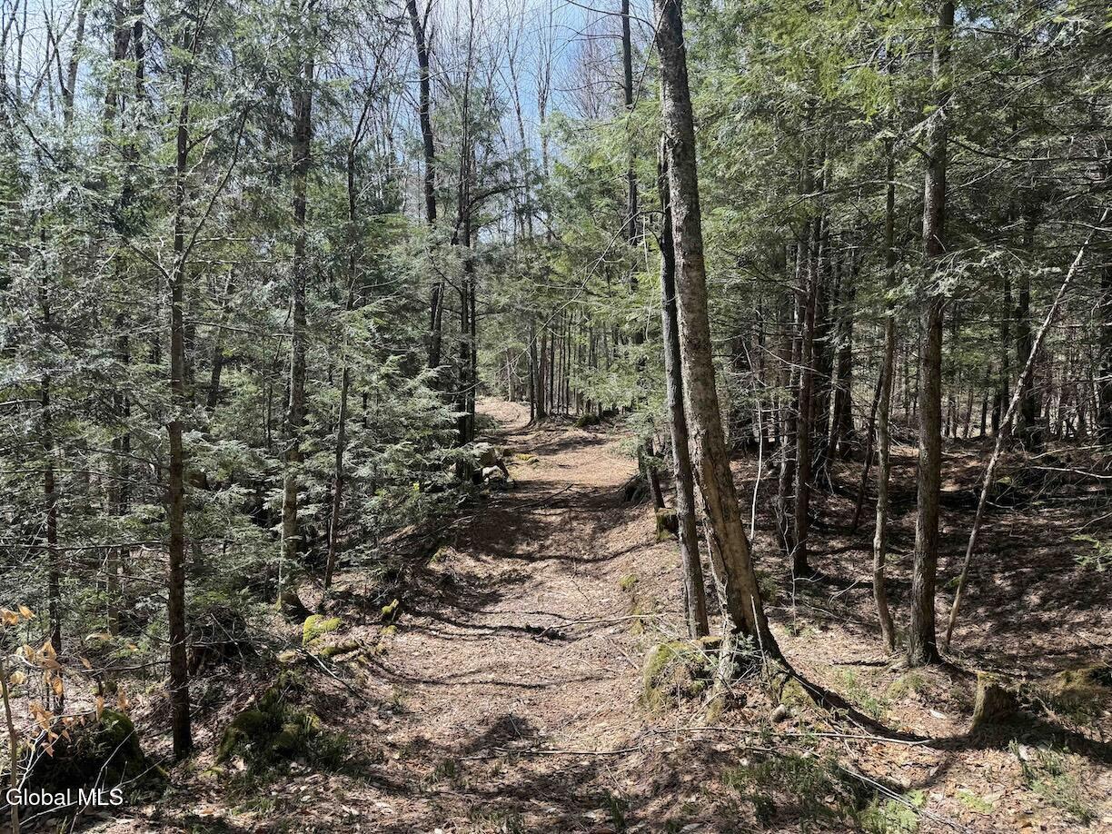 235 Barlow Road Gloversville, NY 12078 - Photo 10 of 50 Scher8