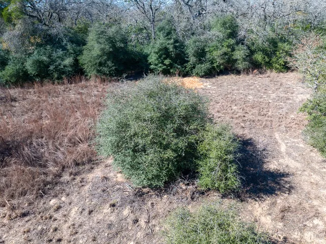 $200,000 | 302 County Road 302, Rockdale, TX 76567