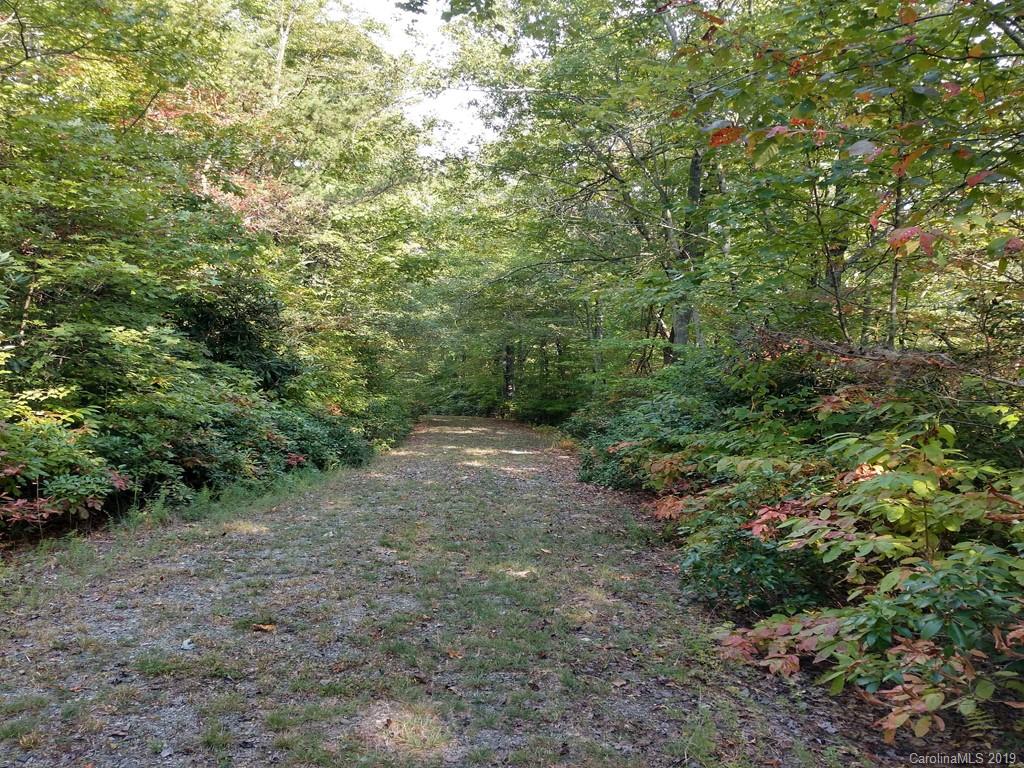 TR 87-R Hubbard Holw Road Rosman, NC 28772 - Photo 4 of 7 Gallery Image 4