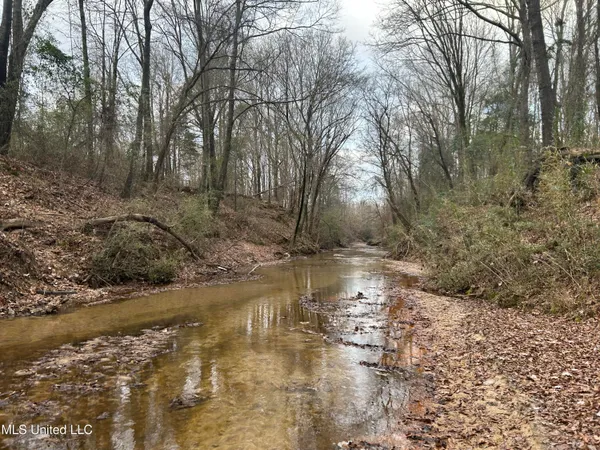 $725,000 | 51 U Highway South, Duck Hill, MS 38925