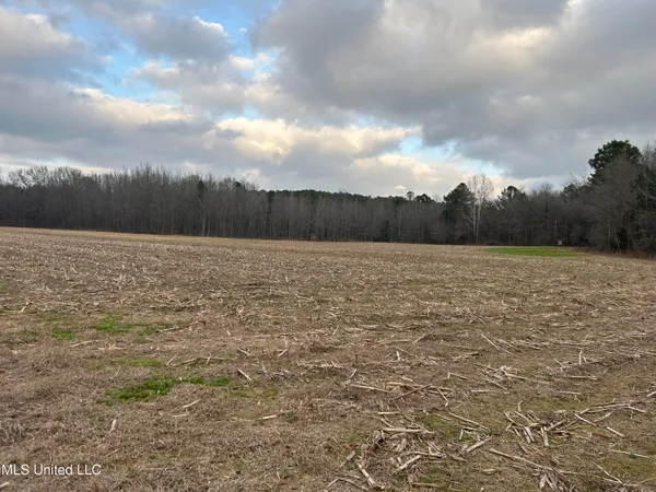 $725,000 | 51 U Highway South, Duck Hill, MS 38925